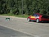 DSC00761.JPG