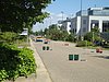 DSC05387.JPG