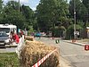 IMG_1229.JPG