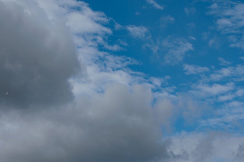 2L4B6056.jpg